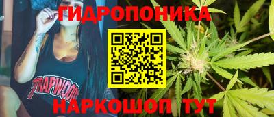 гашик Ликино-Дулёво