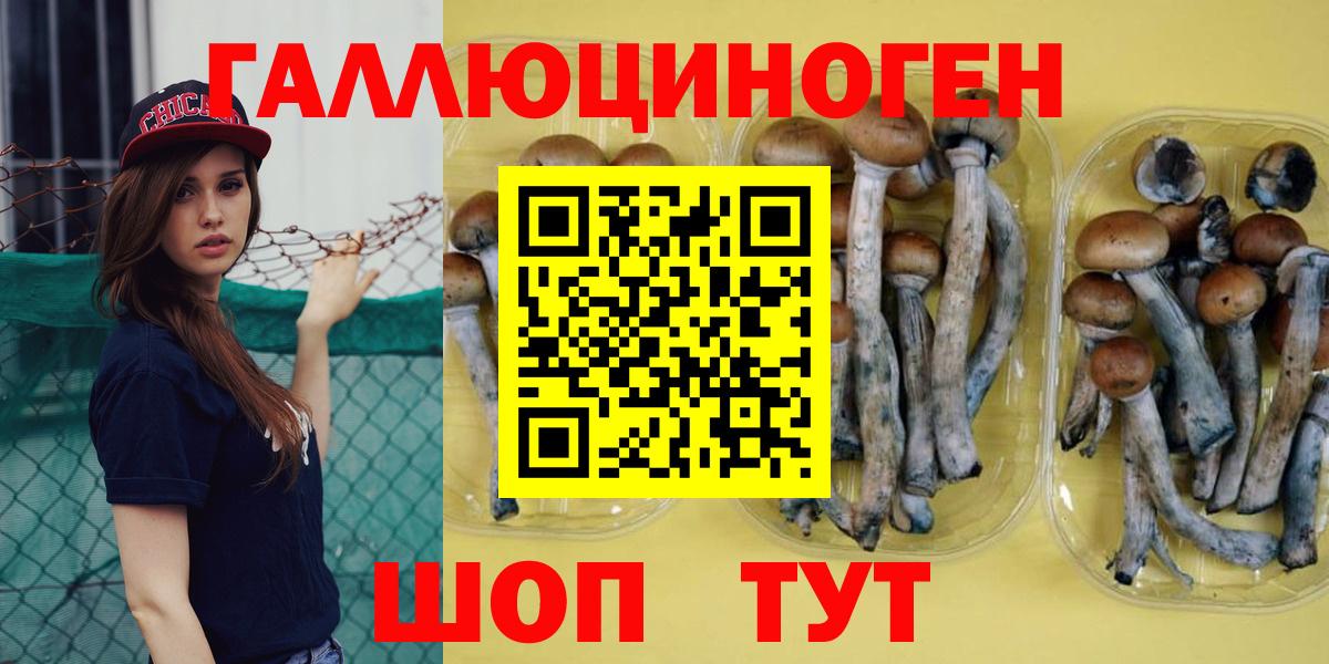 Псилоцибиновые грибы прущие грибы Щёкино