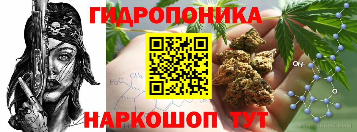 Бошки Шишки семена  Вход с VPN  Бошки Шишки Ganja  Бошки Шишки конопля  Щёкино 